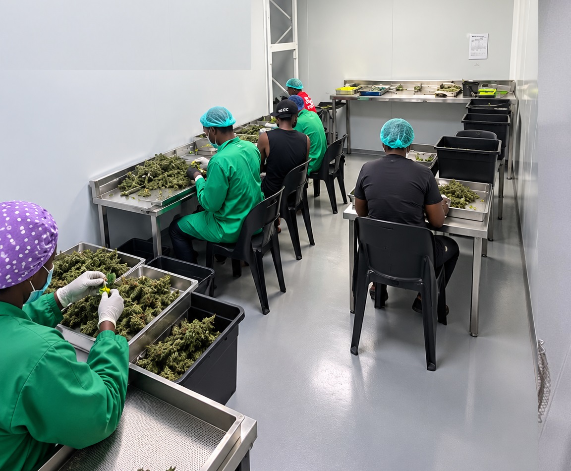 Trimming and Sorting